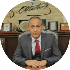 Ahmet Dallı - Politician