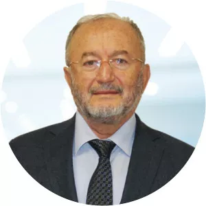 Ahmet Feyzi İnceöz - Politician