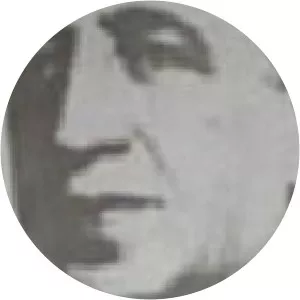 Ahmet Hulusi Köymen - Politician