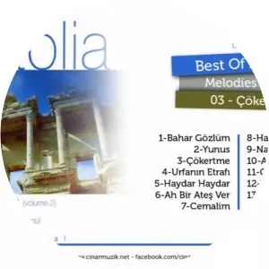 Ahmet Mustafa Özgül Musician