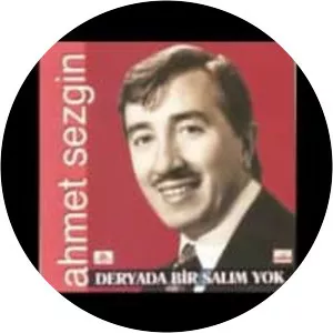 Ahmet Sezgin