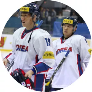 Ahn Jin-hui - South Korean ice hockey player