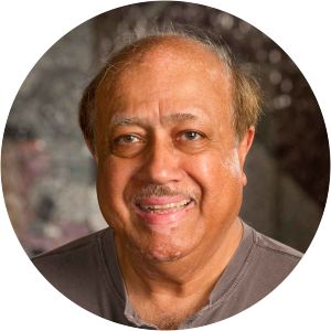 Ahsan Kareem - Civil engineer