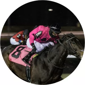 Aintree Festival Replay - TV program