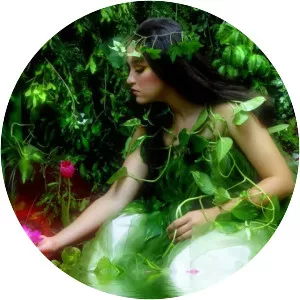 Aioaska Musician - Musician