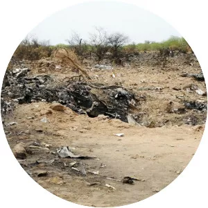 Air Algérie Flight 5017