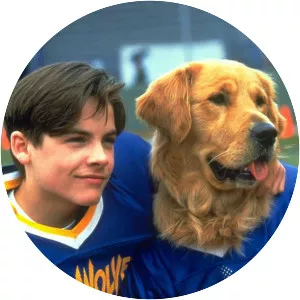 Air Bud: Golden Receiver