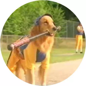 Air Bud: Seventh Inning Fetch