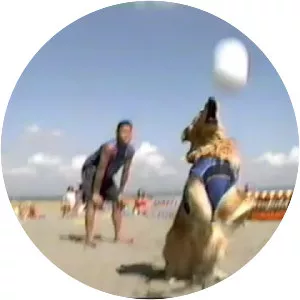 Air Bud: Spikes Back - 2003 ‧ Sport/Comedy ‧ 1h 28m