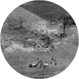 Air Canada Flight 621