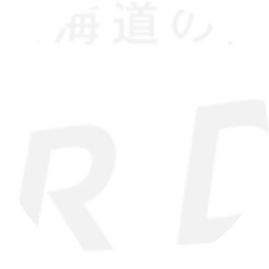 Air Do - Regional airline