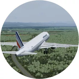 Air France Flight 296 - Plane crash