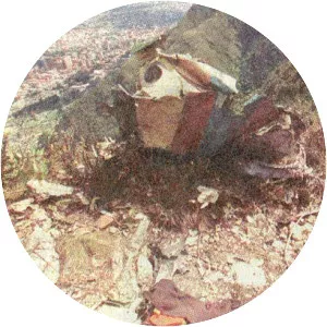 Air France Flight 422