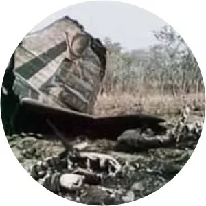 Air Rhodesia Flight 825