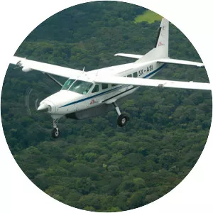 Air Serv International