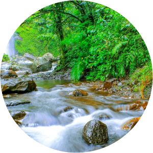 air terjun sarang burung air terjun kembar desa barambang