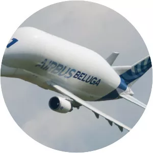 Airbus Beluga - Aircraft model