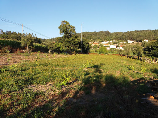 airo barcelos - Association / Organization