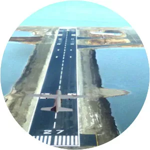 Airplane Real Flight Simulator 2019 : Pro . . .