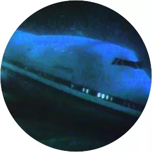 Airport '77 - 1977 ‧ Drama/Disaster ‧ 1h 54m