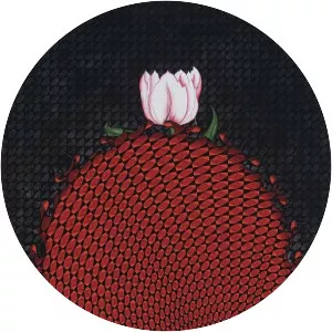 Aisha Khalid - Artist