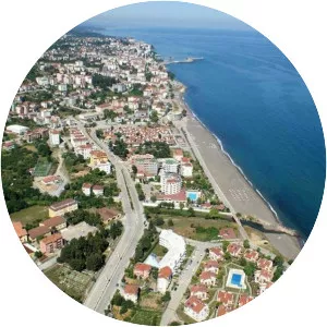 Akçakoca