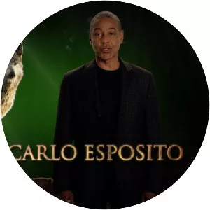 tamás schmiedl akela