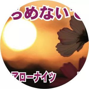 Akiba Yutakato Arrow Knights - Musical group