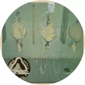 Akira S & As Garotas Que Erraram - Musical group