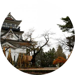 Akita Castle