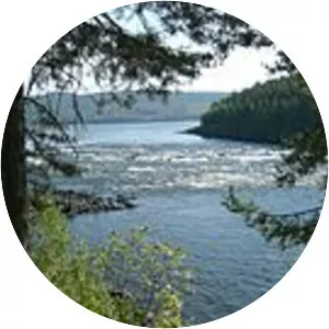 Åklagaren v Fransson