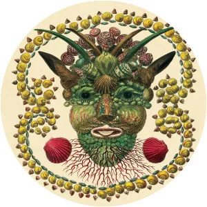 Akron/Family - Rock band