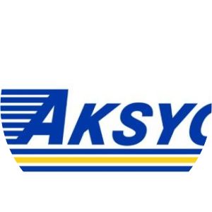 Aksyon Demokratiko