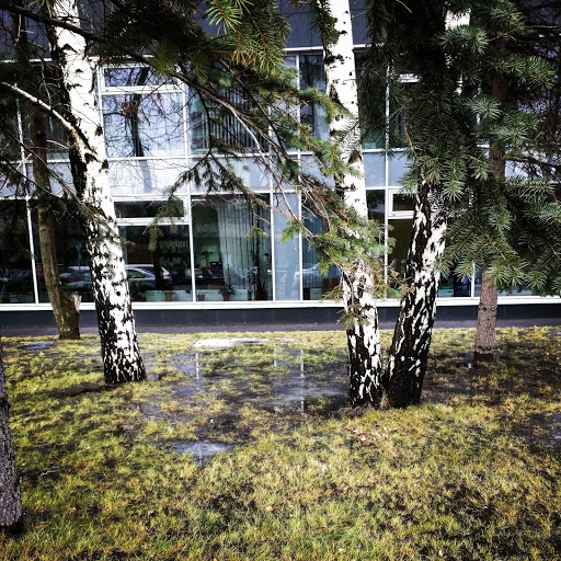 Aktion-Didzhital Ooo