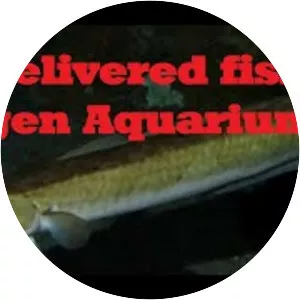 Akvariet i Bergen - Det Nasjonale Akvariet - 