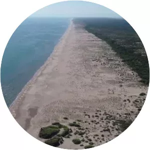 Akyatan Lake (Akyatan Gölü)