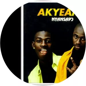 Akyeame - Musical artist