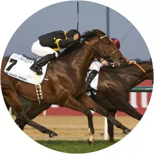 Al Quoz Sprint - 