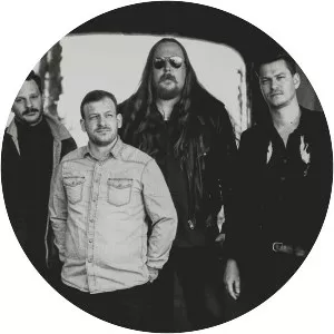 Alabama Black Snakes