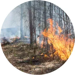 Alabama Forestry Commission