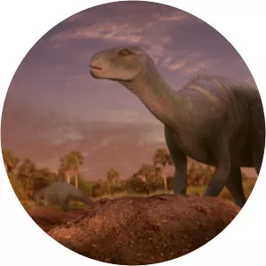 Aladar's Mother - 