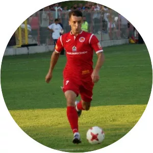 Aladin Šišić - Bosnian football player