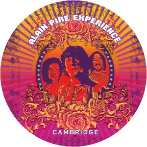 Alain Pire Expérience