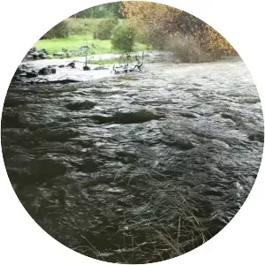 Alamitos Creek - Creek in California