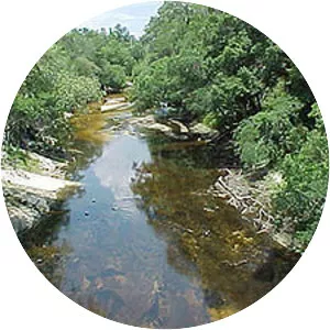 Alapaha River