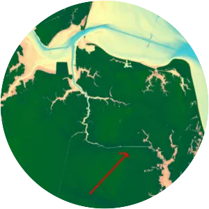 Albemarle and Chesapeake Canal - 