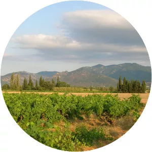Albera Massif - Mountain range in France