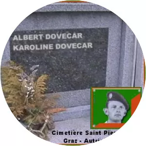 Albert Dovecar