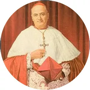 Albert Gregory Meyer - American prelate