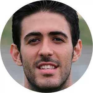 Albert Manel Estellés Fernández